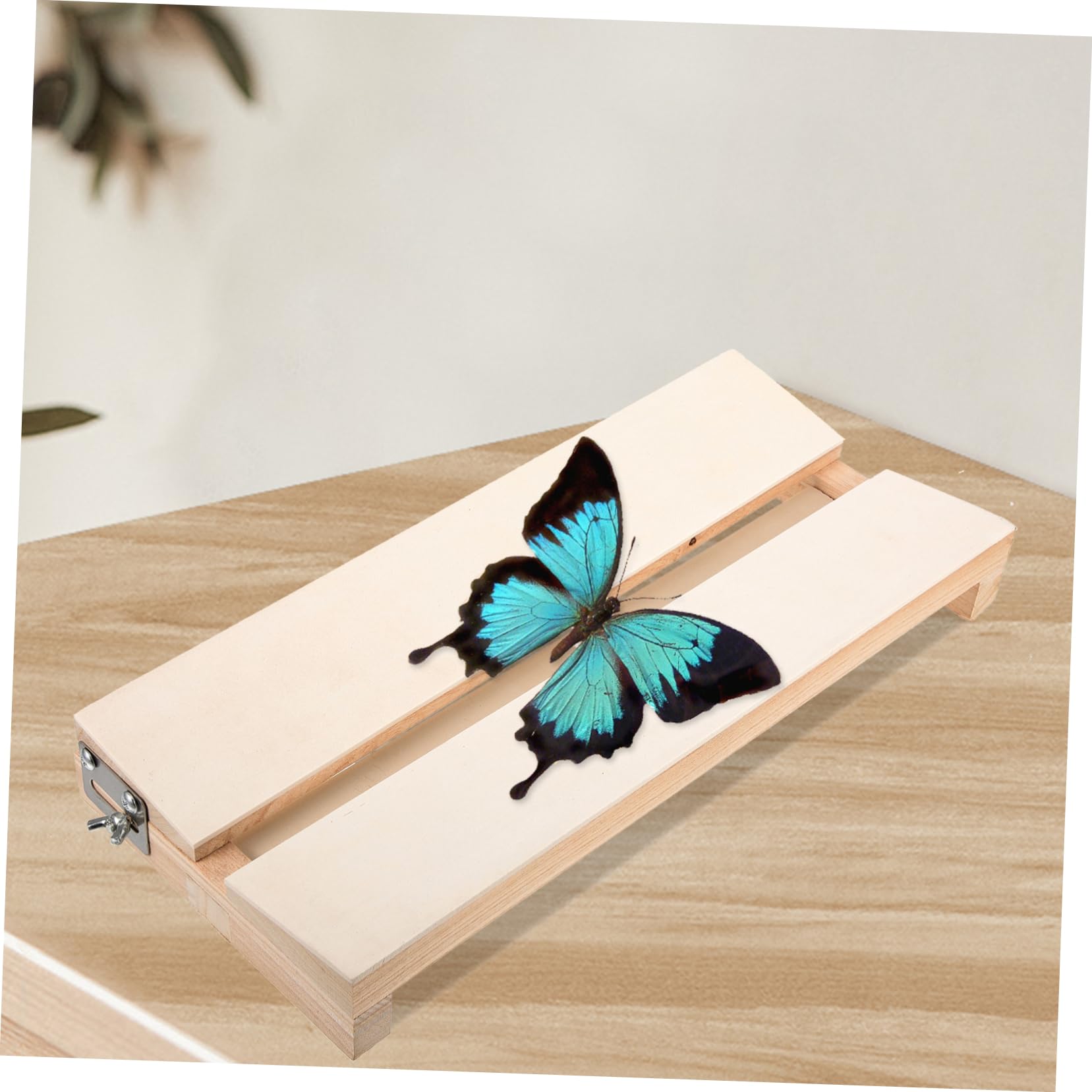 LIFKOME Butterfly Wings Spreading Kit Real Pinning Board Easy to Use for Teaching