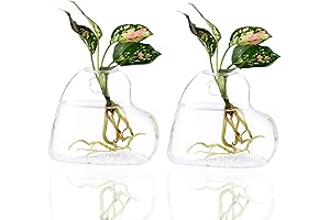 Kingbuy Heart Shape Vase Wall Hanging Glass Planter