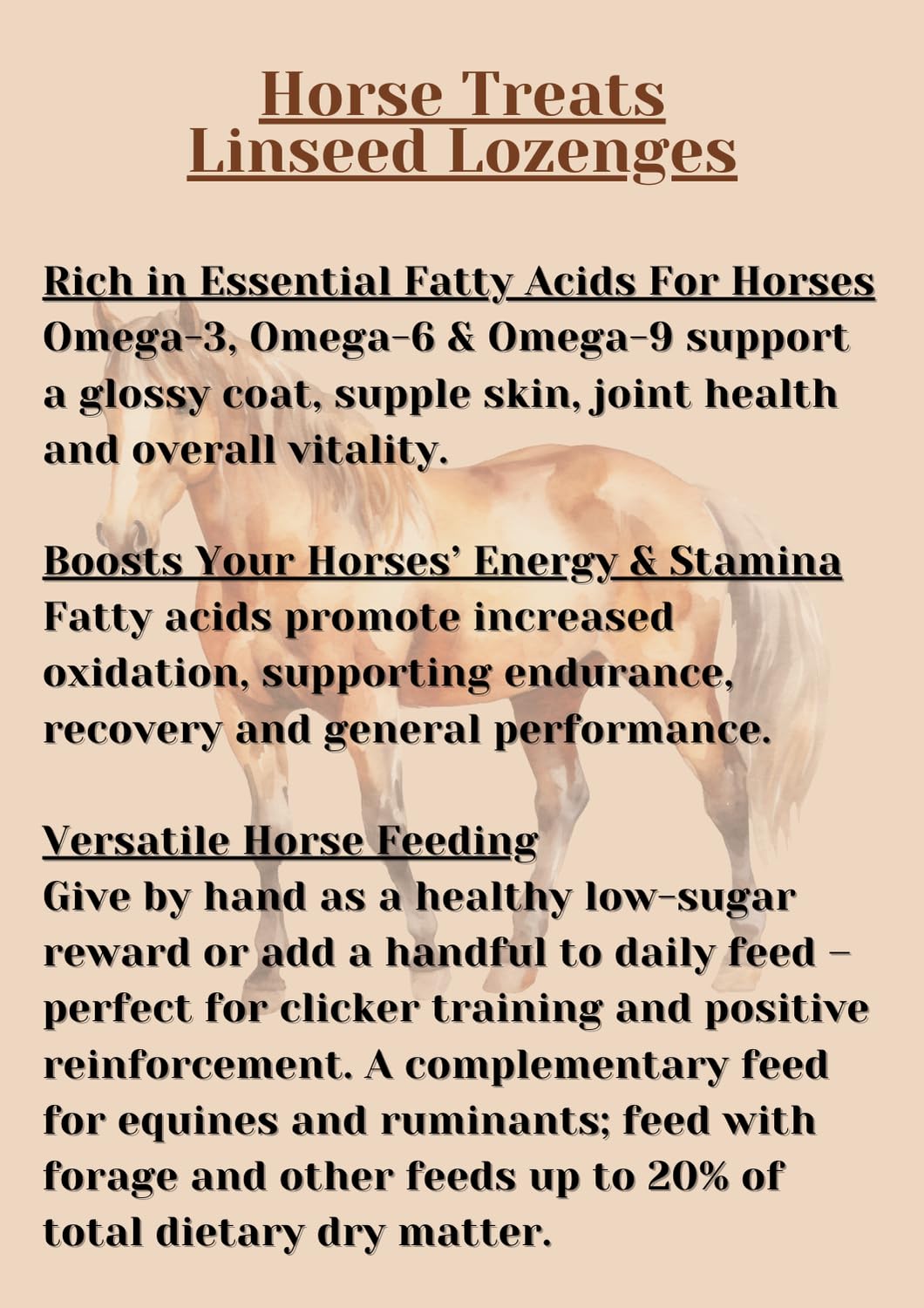 Horse Treats 4kg, Linseed Lozenges For Horses, Low Sugar, High In Omega 3 6 & 9, Feed By Hand, Add To Feed For Fussy Feeders - Image 2