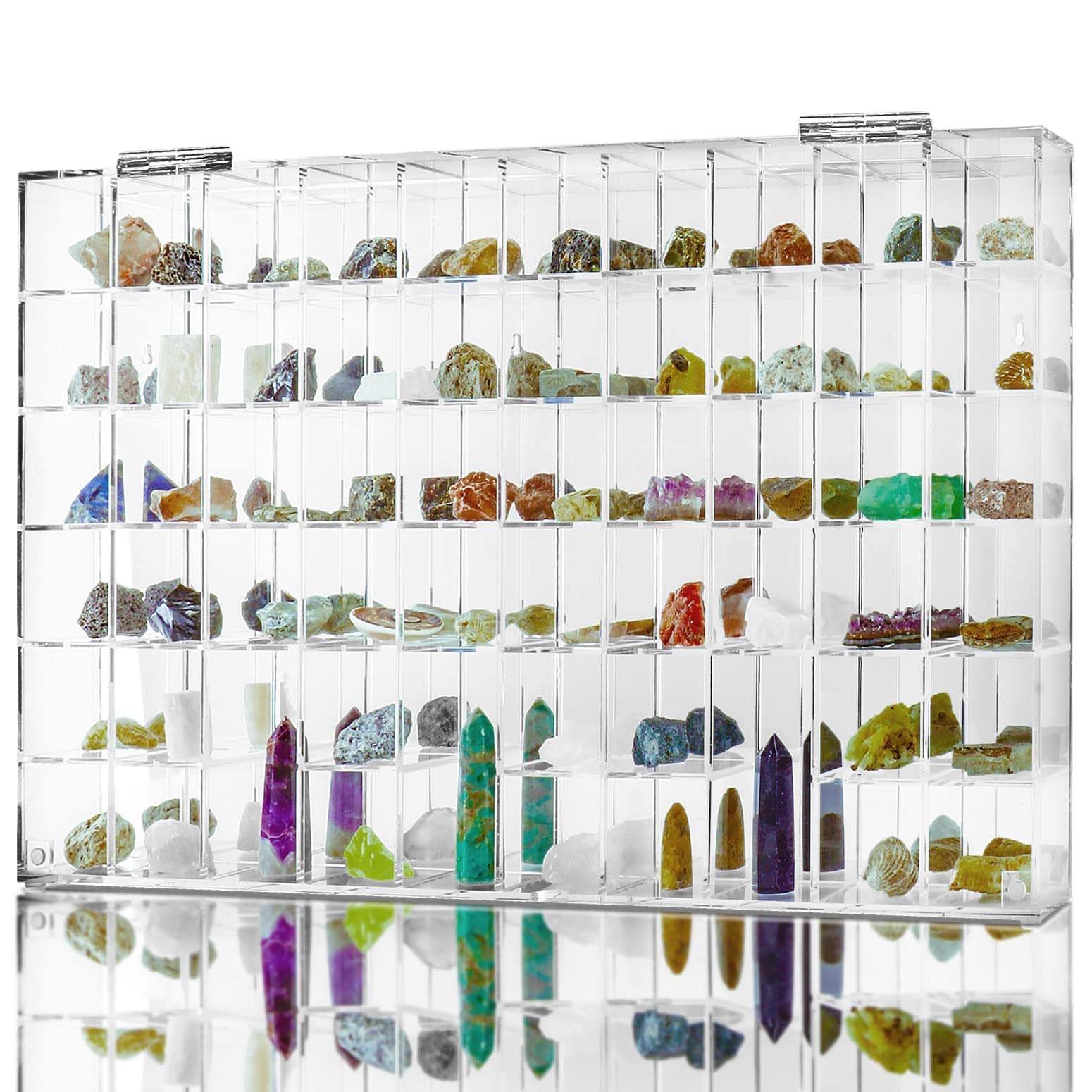 Amazon.co.jp: 調節可能な貝殻ディスプレイケースボックス