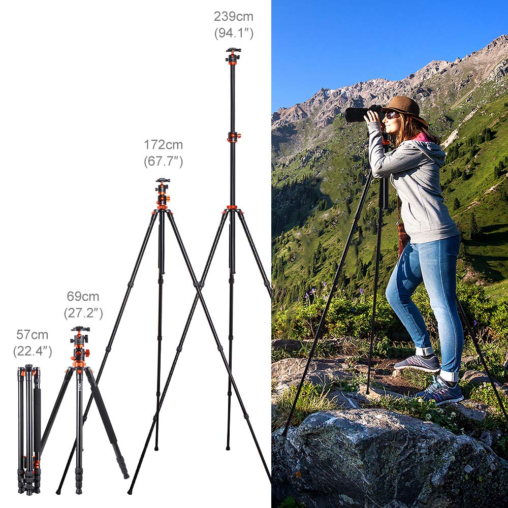 K&F CONCEPT 240cm Trípode de Cámara, Trípode Video Profesional con Columna Central Transversal con Rótula de Bola Panorámica y Placa de Liberación para DSLR Cámara T254A8+BH-28L(SA254T1)