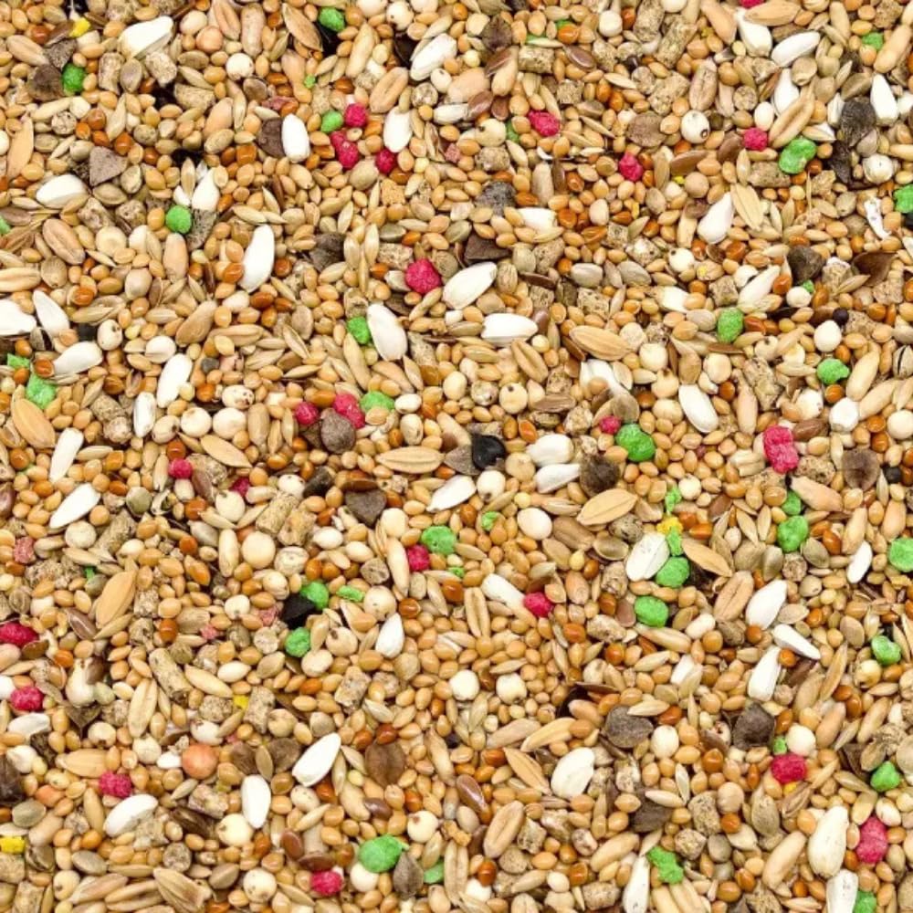 10 kg di mangime per pappagalli grandi senza zucchero, con arachidi, semi di zucca, girasole bianco e strisce, carrube, per ara, cacata, pappagalli grigi, amazzoni