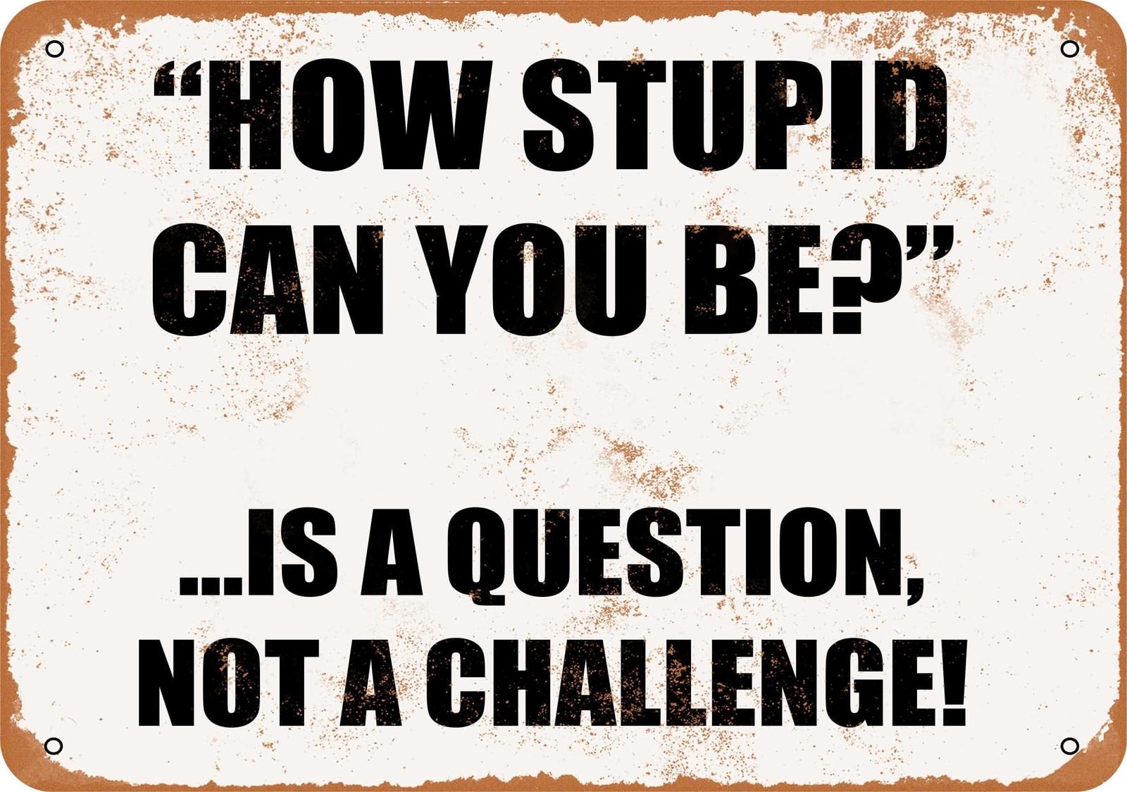 Miaomansenstore Metal Sign - How Stupid Can You Be? Is A Question, Not A Challenge! Home Decor