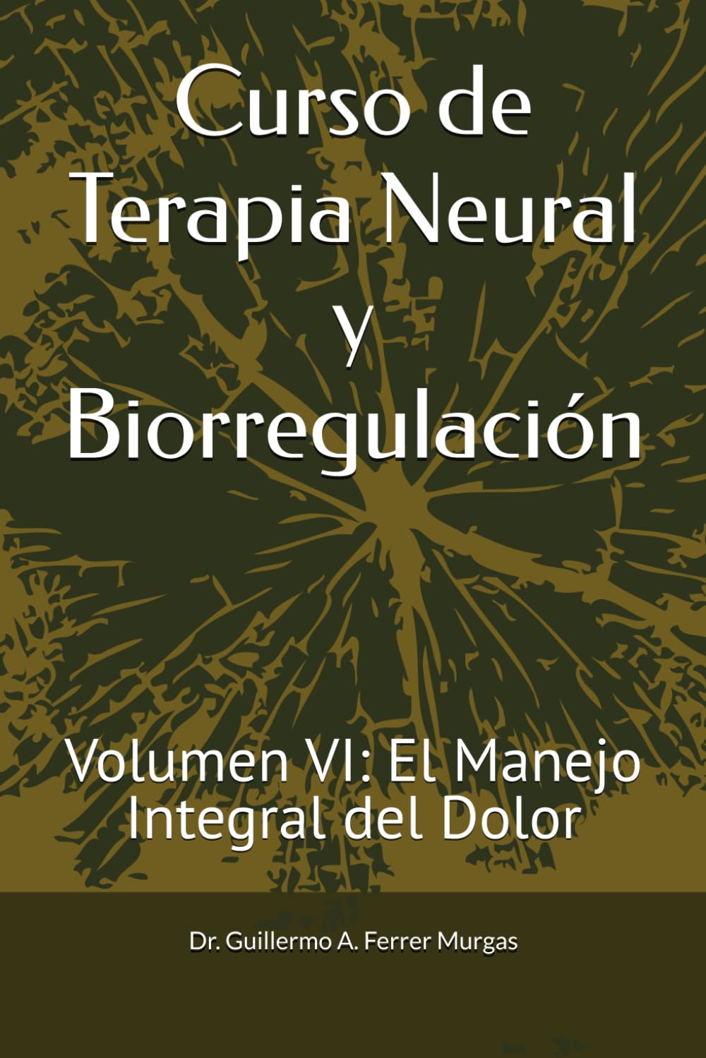 Curso de Terapia Neural y Biorregulación: Volumen VI: El Manejo Integral del Dolor (CIENCIA, PRÁCTICA Y EXPERIENCIA BIO-REGULADORA Curso Maestro de Acupuntura Clínica Volumen I, II y III)