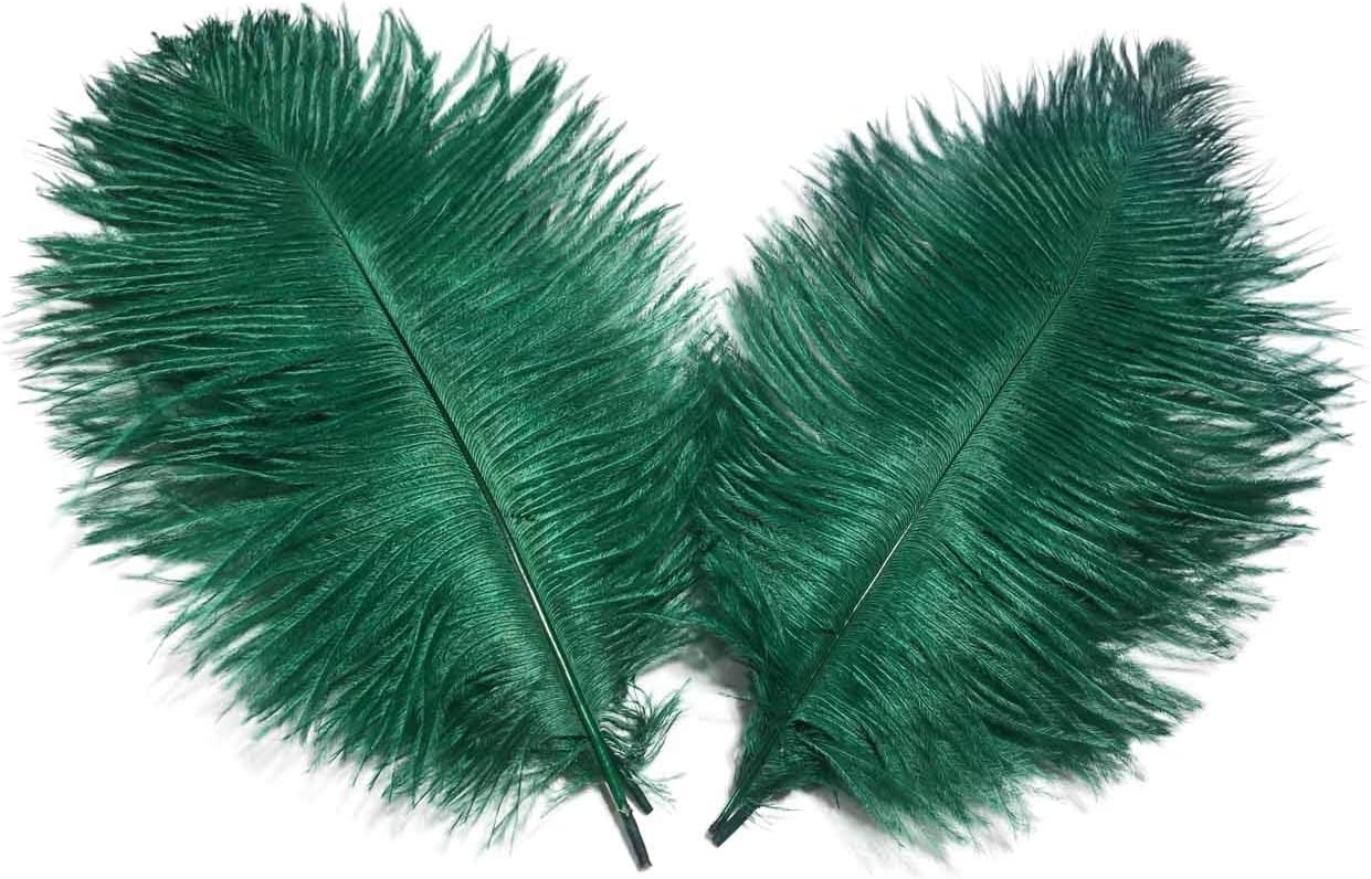 Lampu Ostrich Feathers 8-10 inch/20-25cm for Wedding Centerpieces Home Decoration Pack of 10 ๏ผBlackish Green ๏ผ