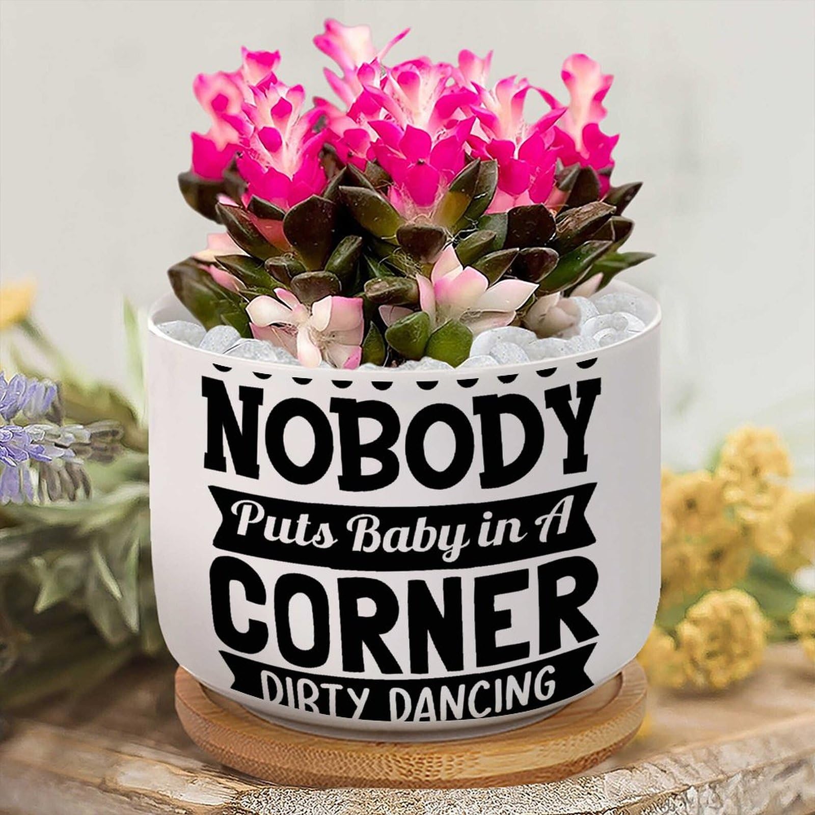 Yelolyio Nobody Puts Baby in A Corner Dirty Dancing Planters Ceramic Family  Quote Round Plant Pot With Drainage Holes And Bamboo Tray Pot For Home ...