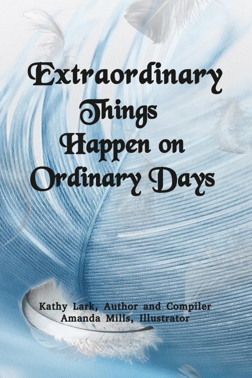 Extraordinary Things Happen On Ordinary Days