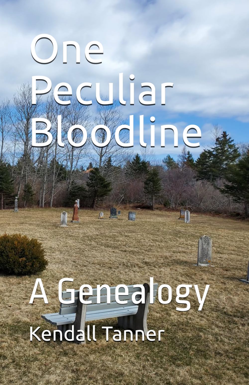 One Peculiar Bloodline: A Genealogy (One Peculiar Boy)