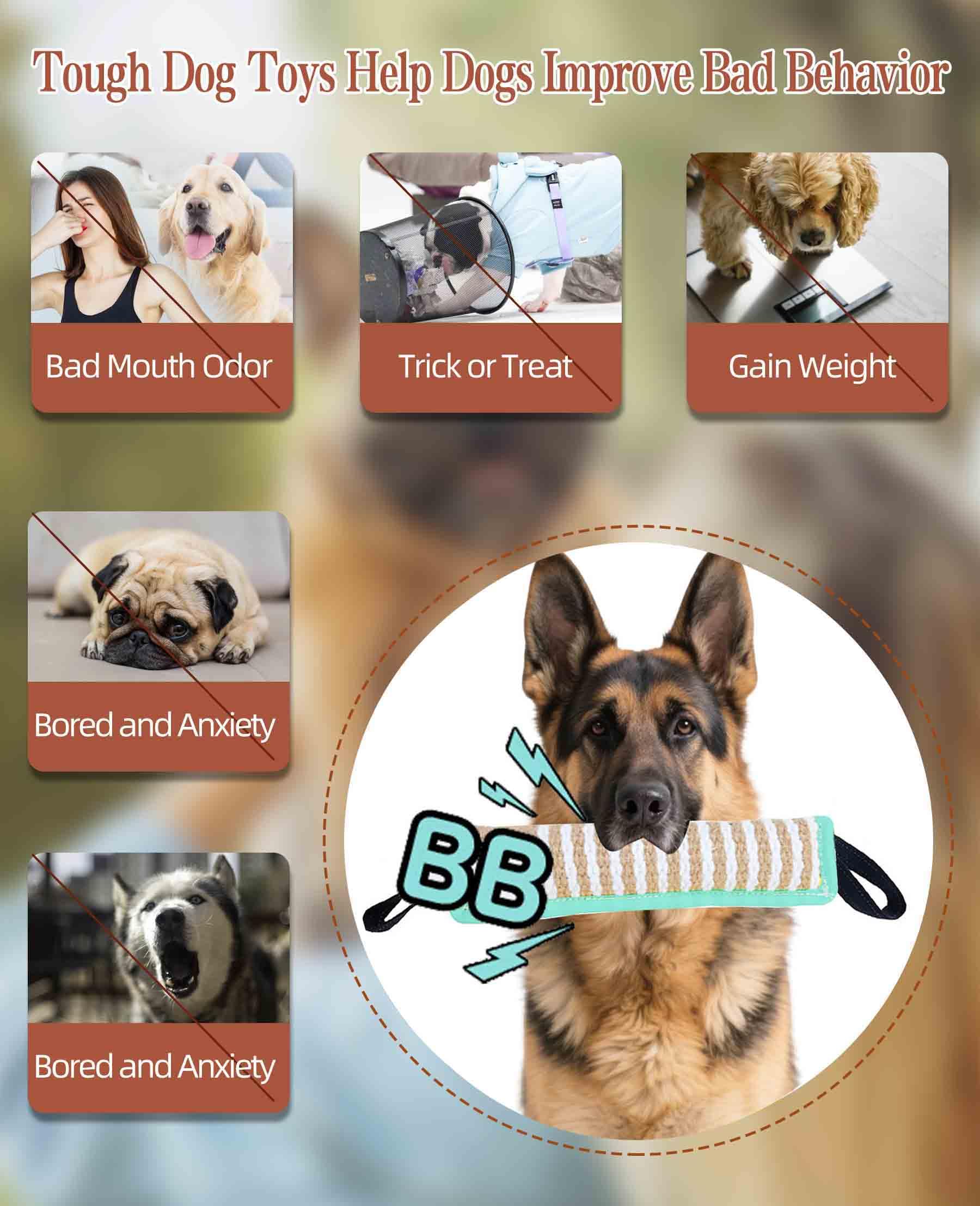 Clysoru Zerrspielzeug für Hunde, quietschendes Spielzeug mit 2 starken Griffen, dauerhafte Trainingsausrüstung, für Welpen bis große Hunde, interaktives Spielzeug des Krieges, Ziehen, unzerstörbares