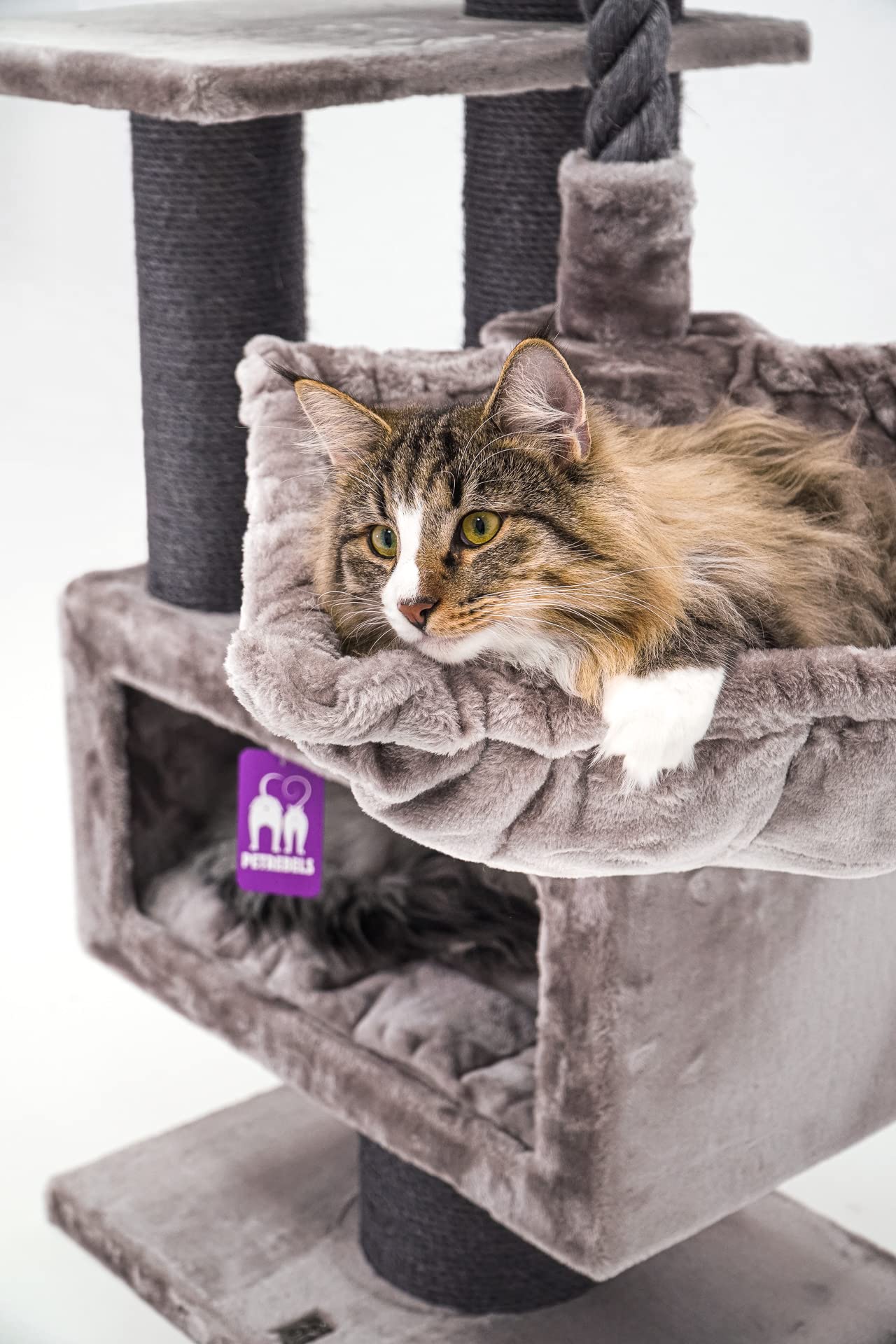 Petrebels Kratzbaum für Katzen 131 cm, Katzenbaum Stabil mit Sisalstämmen, Höhle, Hängematte und Liegeflächen, Parklane 131, Katzenkratzbaum für große und schwere Katzen, Cappuccino