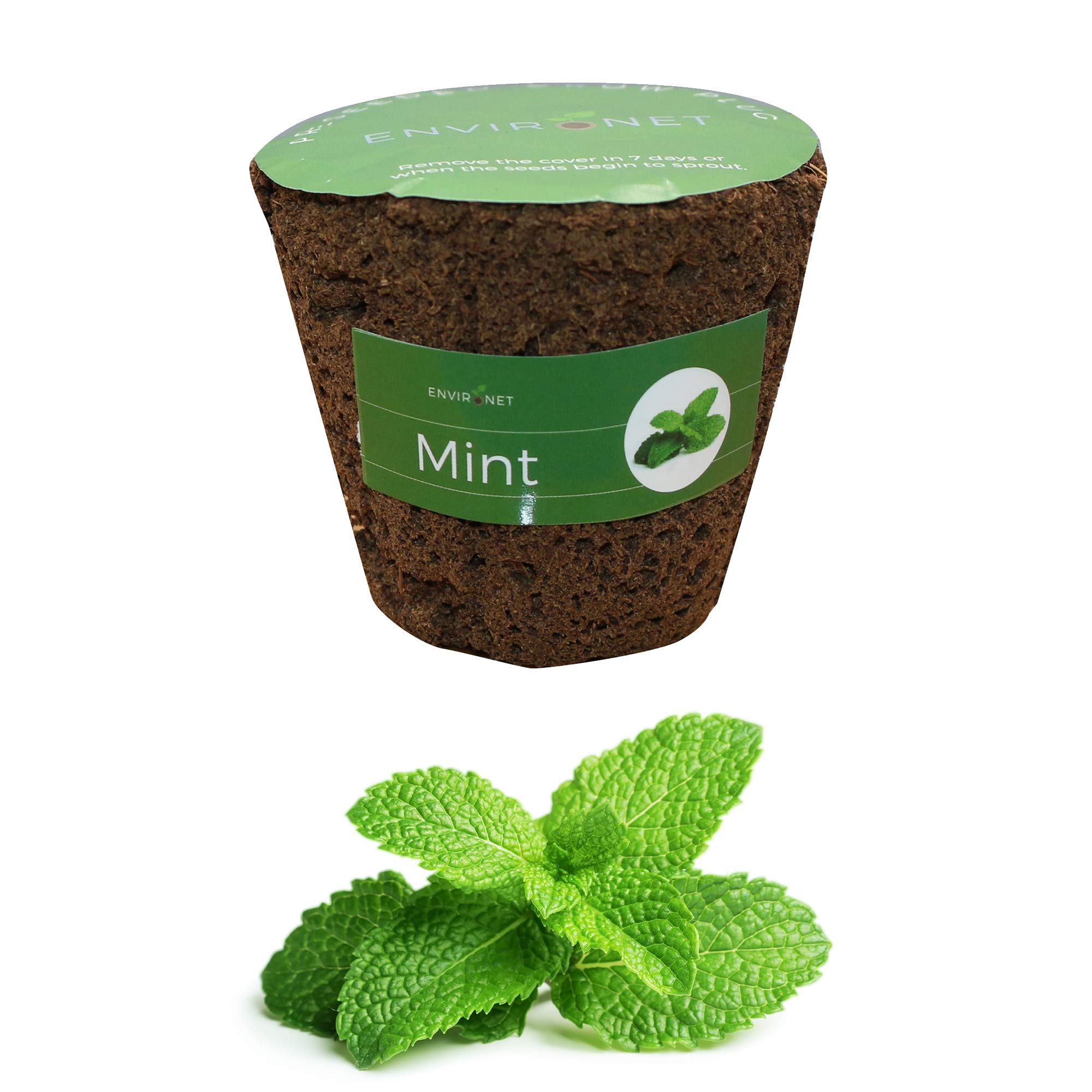 Environet 3 Inches Preseeded Herb Seeds Starter Plug for Soil and Hydroponic Applications,Seeds Starter Sponge Pod Replacement for Hydroponic Garden kit (Mint)