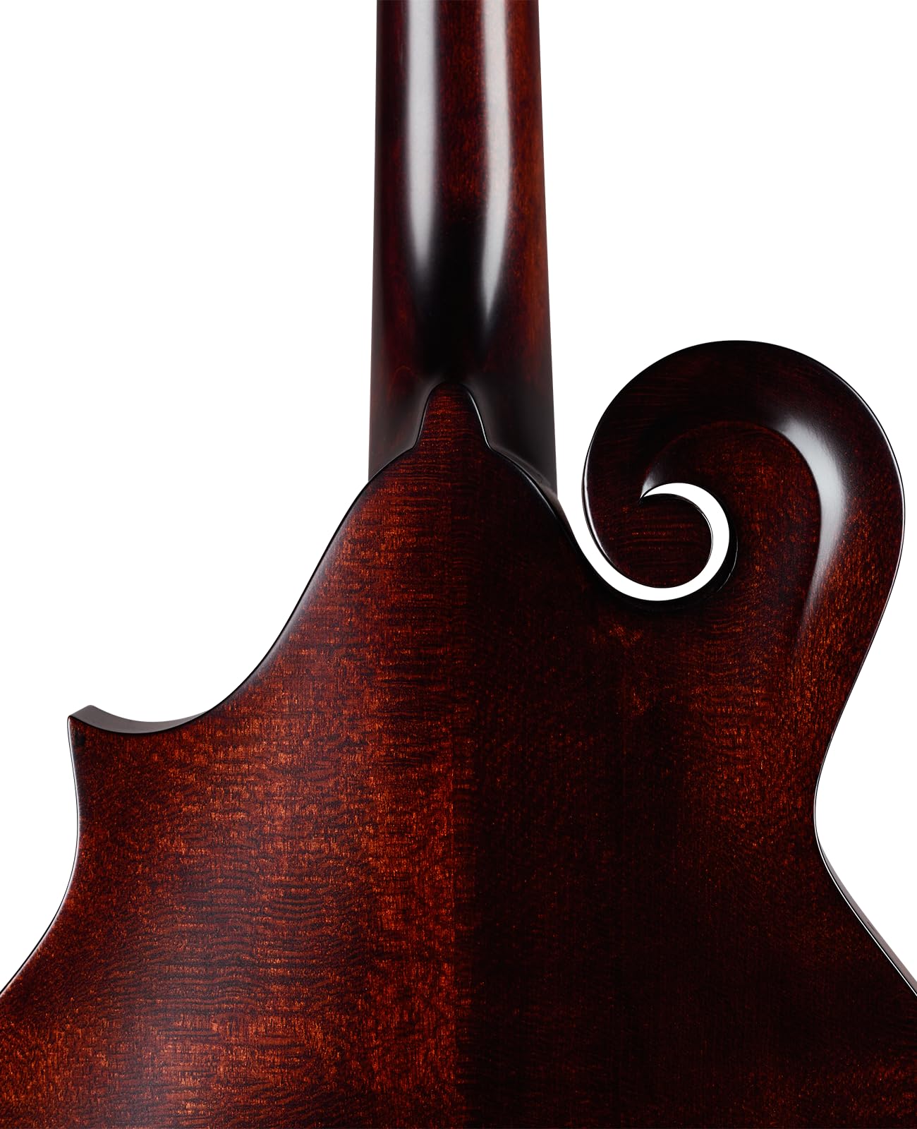 Amazon.com: Kentucky KM-626 Standard Oval Hole F-Model Mandolin