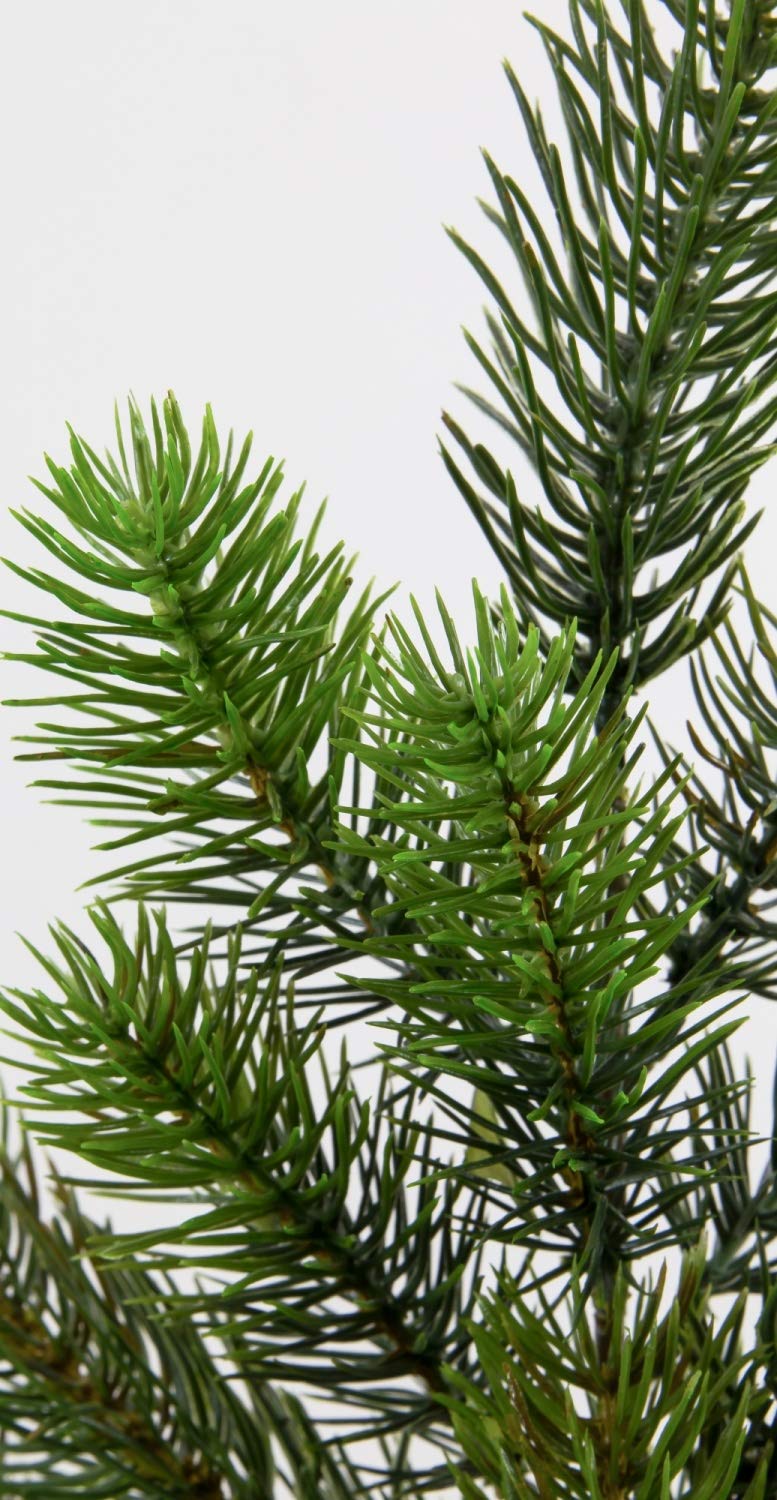 Amazon.de: Seidenblumen Ro Kunststoff-Tannenzweig 50cm DP knstliche  Tannenzweige Kunststoff Kunsttanne Spritzguss-Verfahren 100% PE
