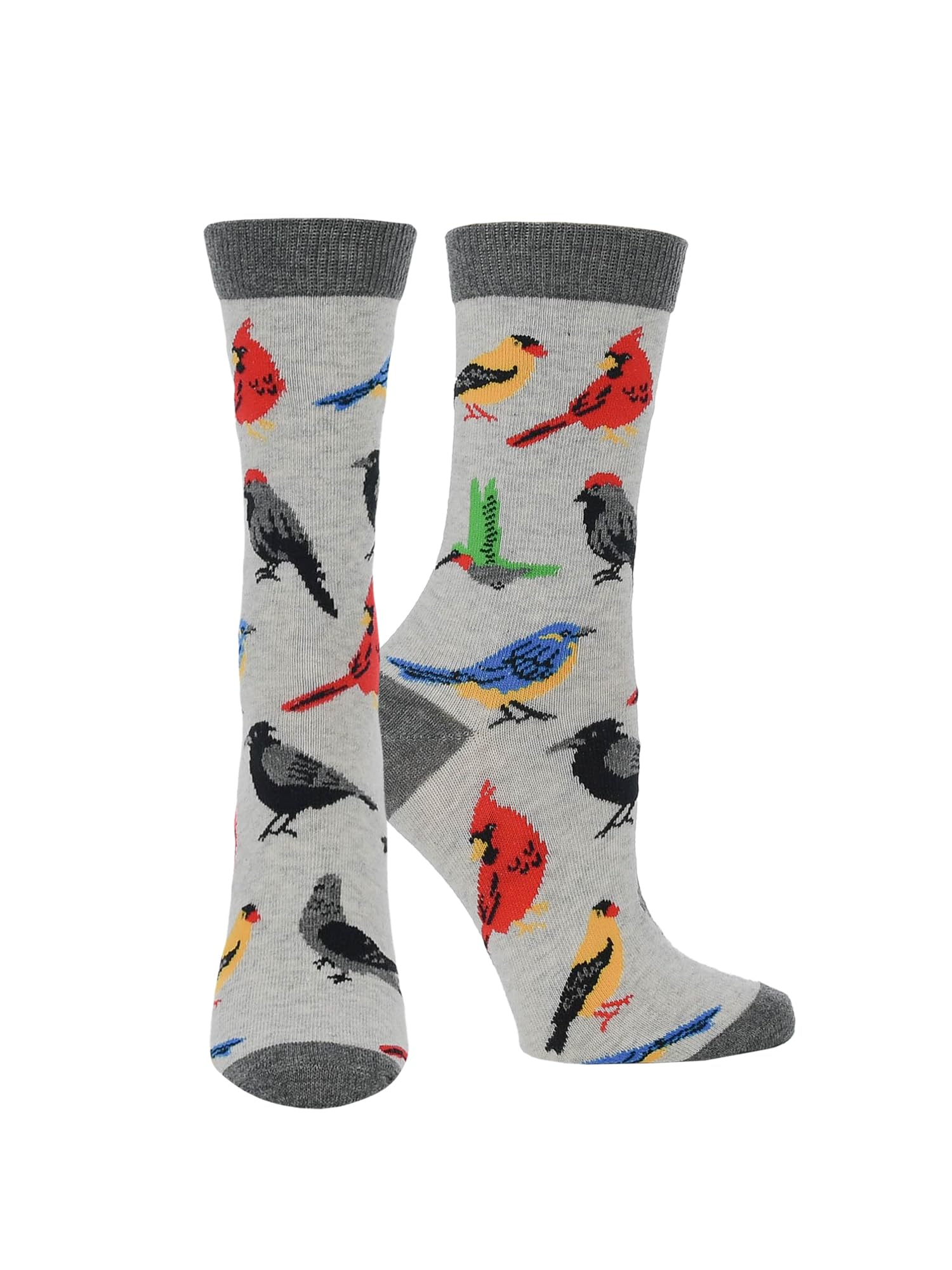 WHD Bird Lover Crew Socks for Women &amp; Men | Cute Fun Birdwatcher Gift | Novelty Song Bird Fan