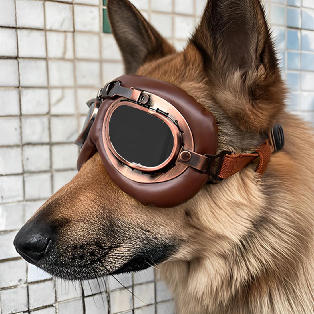 Gafas de Sol para Perros, Retro Gafas Perro, Gafas de Protección Perro, Correa Ajustable, Para Perros Medianos-Grandes, Protección UV, Antiviento, Actividades al Aire Libre, Moto, Estilo Retro