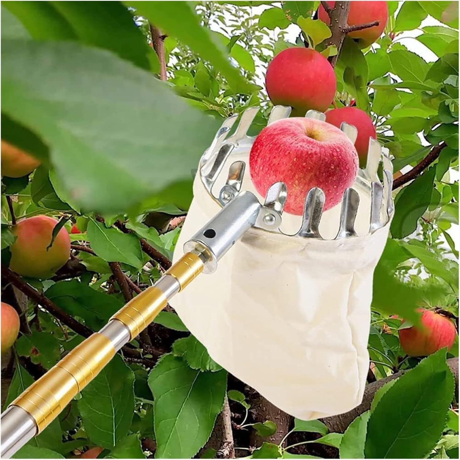 Fruit Picker Fruit Picker Pole with Basket Telescoping, Fruit Picker