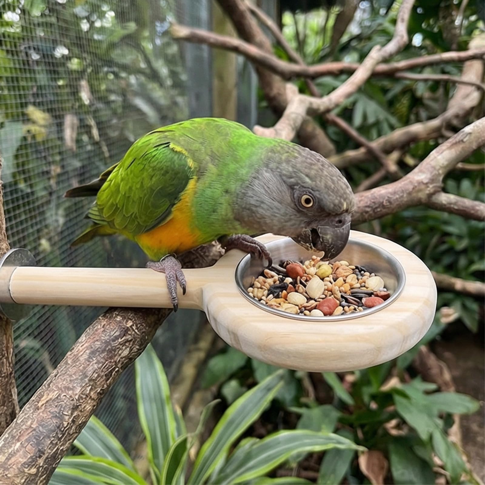 Mangiatoia per uccelli dimensioni con trespolo in legno e tazza alimentazione in acciaio inossidabile antiruggine, stazione alimentazione per ciotola per acqua per uccelli da gabbia