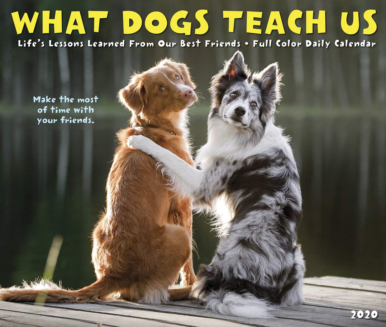 What Can Dogs Teach Us