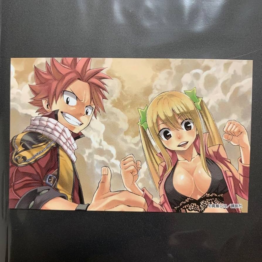 アールビバン　フェアリーテイル版画　NEW WORLD ナツ、ルーシィ、ハッピー アールビバン フェアリーテイル版画 NEW WORLD ナツ、ルーシィ