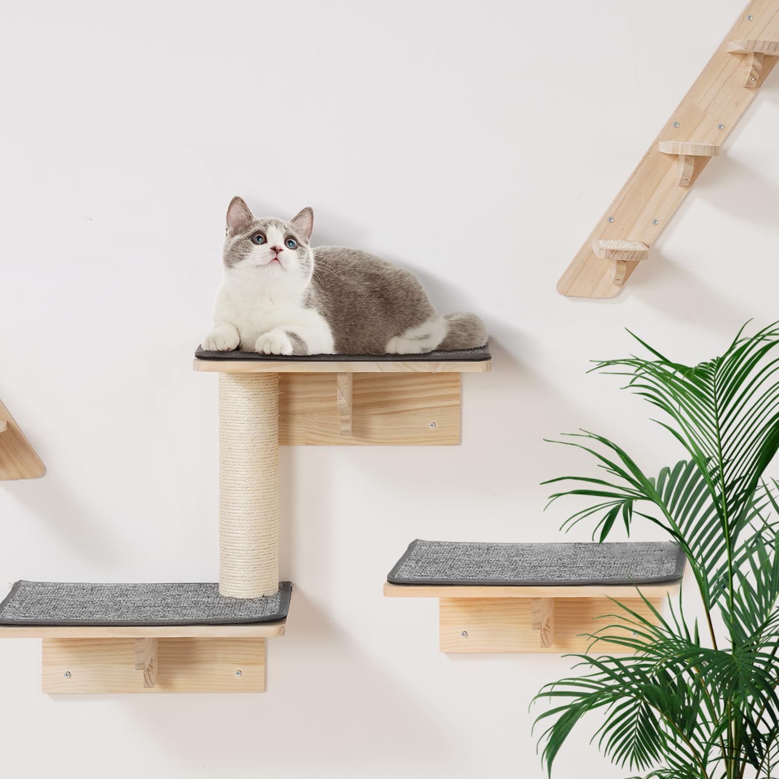 VEVOR Mensole da Parete per Gatti Set da 9, Posatoi Montati a Parete per Gatti con Trampolini, Cucce per gatti, Amache, Set di Mobili da Parete per Gatti Fino a 18,14 kg per Dormire, Arrampicarsi