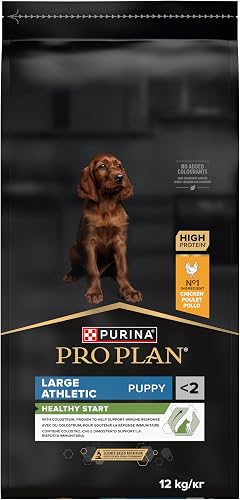 Pro Plan Purina