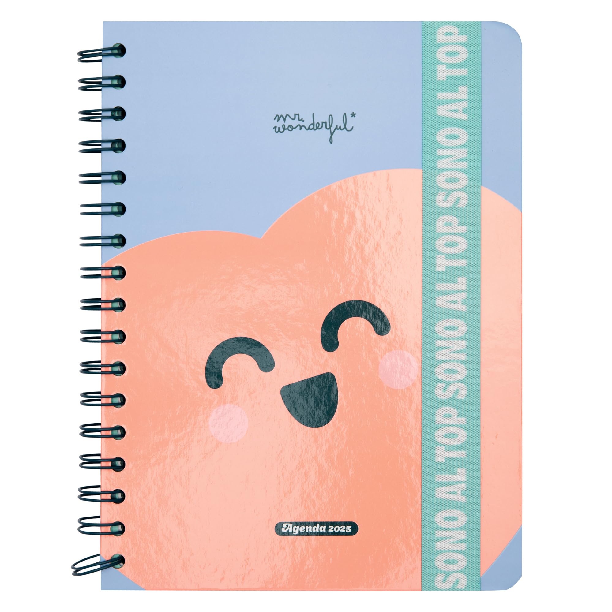 Mr. Wonderful - Wonder 2025 Weekly Planner - They Are Top - Includes 8 Sheets of Stickers and Sticky Notes with Different Shapes