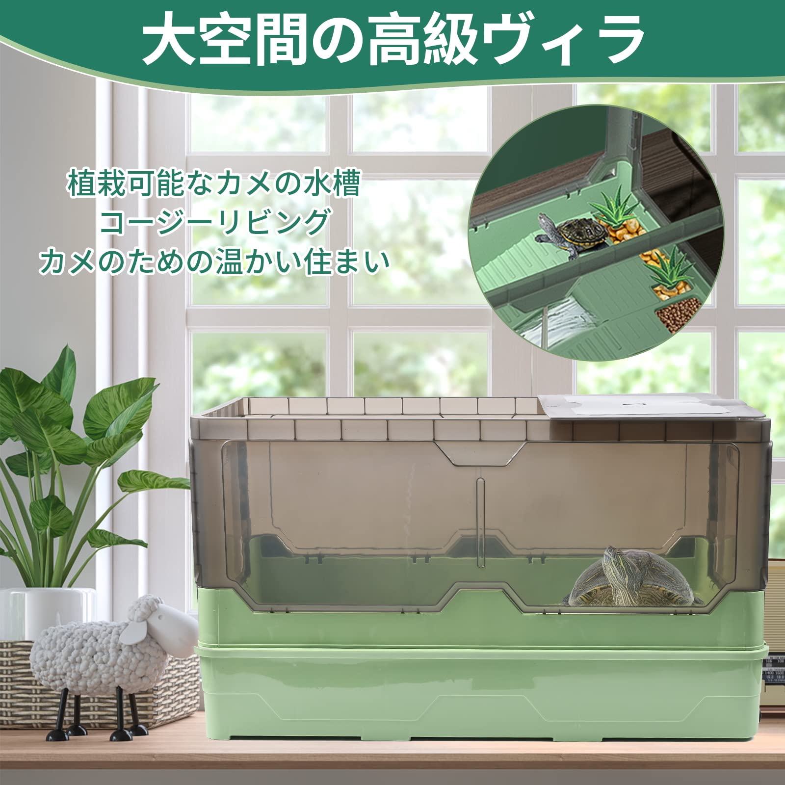 青磁水注 雨龍型 亀形　木箱（共箱） Amazon | 亀の水槽、無音滝流水 両生ペット飼育箱。 (Large