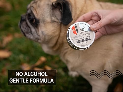 Miniatura 4 de Gou Gou Pets Ungüento para patas 3 en 1 de hierbas derivadas naturales holísticas para perros, gatos y caballos acondicionador e hidratación para