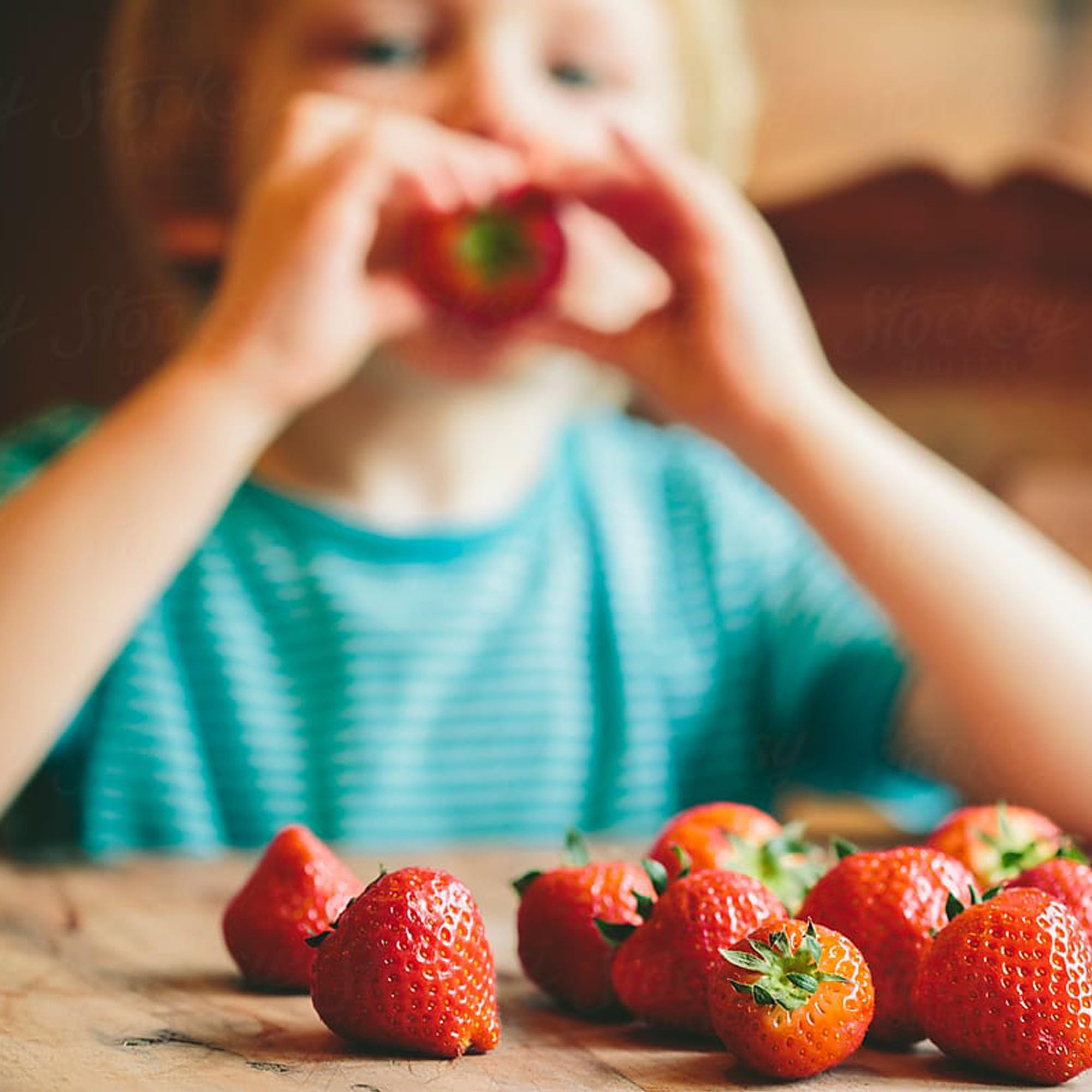 Fraises, Graines prêt à Pousser Minigarden, 100% Naturelles sans Propagateurs Chimiques ni Génie Génétique, inclut entre 300 et 340 graines