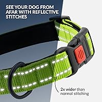 Vista 72 de CollarDirect Reflective Dog Collar for a Small, Medium, Large Dog or Puppy with a Quick Release Buckle - Boy and Girl - Nylon Suitable for Swimming