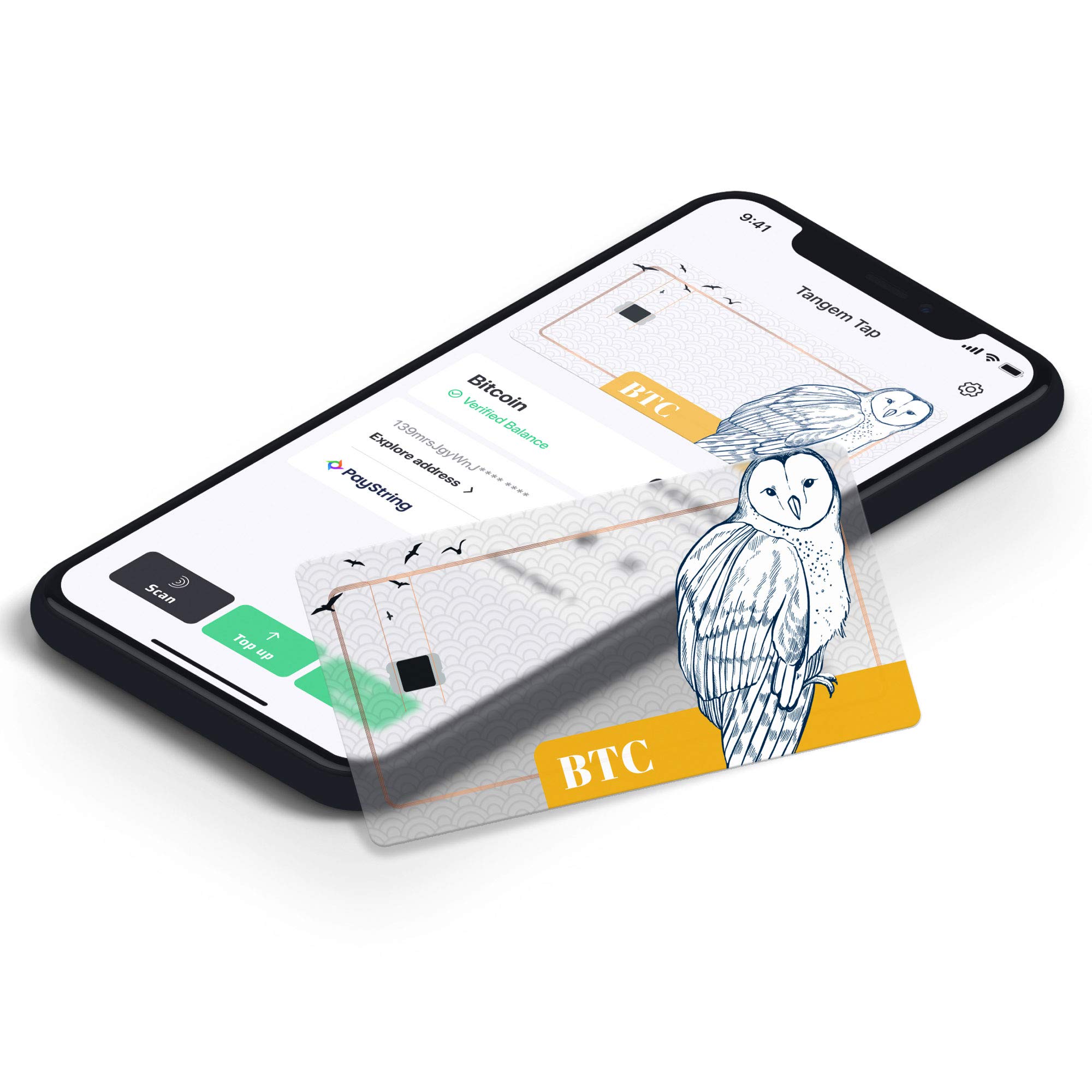 Tangem Hardware Wallet, Bundle of 7 Cards - Best Crypto Gift - Easy to use  Wallets for Everyone - BTC, ETH, XRP, XLM, ADA, BCH, XTZ : Amazon.sg:  Fashion