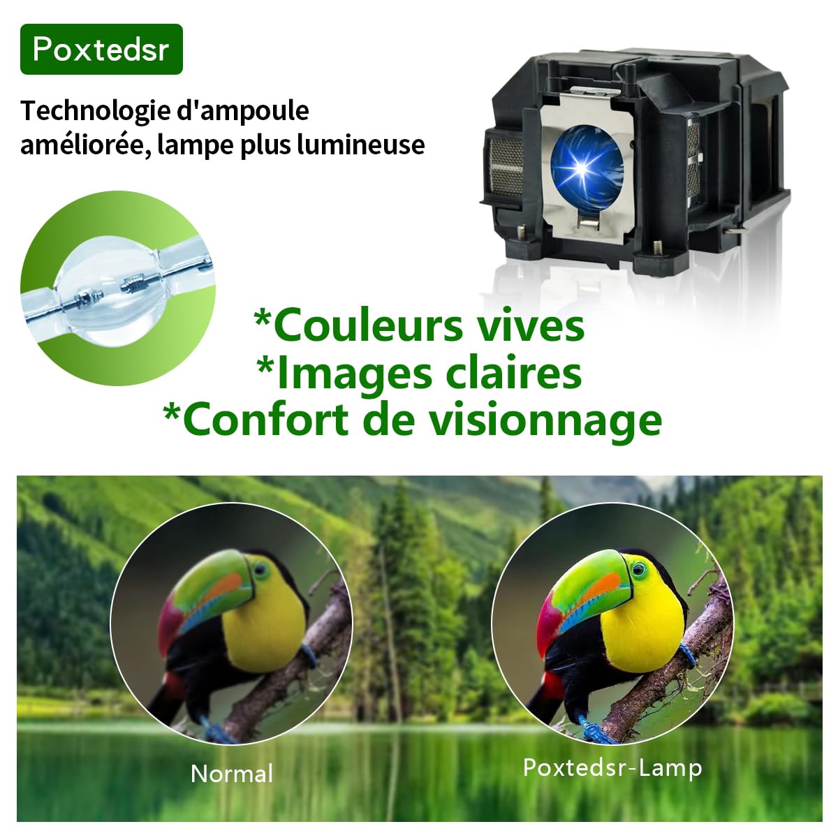 EL PLP67/V13H010L67 - Lampada di ricambio per proiettore compatibile con Epson EB-S02 EB-S02H EB-X11 EH-TW480 EH-TW550 EB-X12 EB-X02 EB-S01 EB-S11 EB-S12 Home Cinema 500 7 07HD 71 0HD 750HD H436B