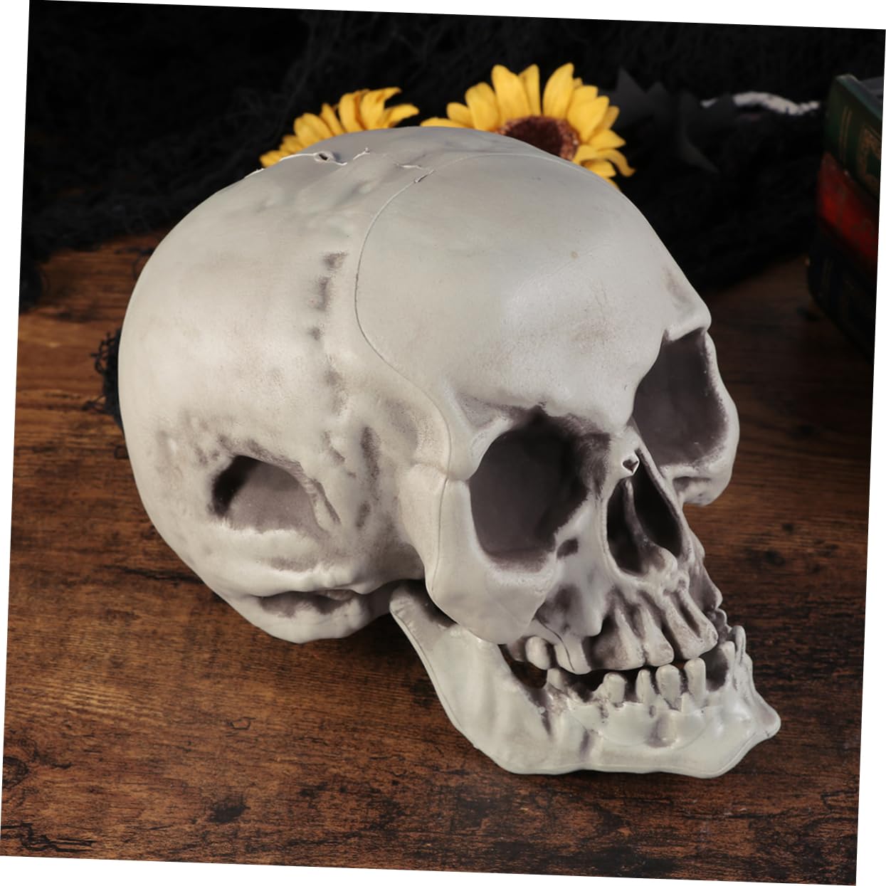 ibasenice 2 Pezzi Di Teschi Di Halloween Teschio Di Plastica Accessori Di Halloween Decorazioni Per Feste A Forma Di Teschio