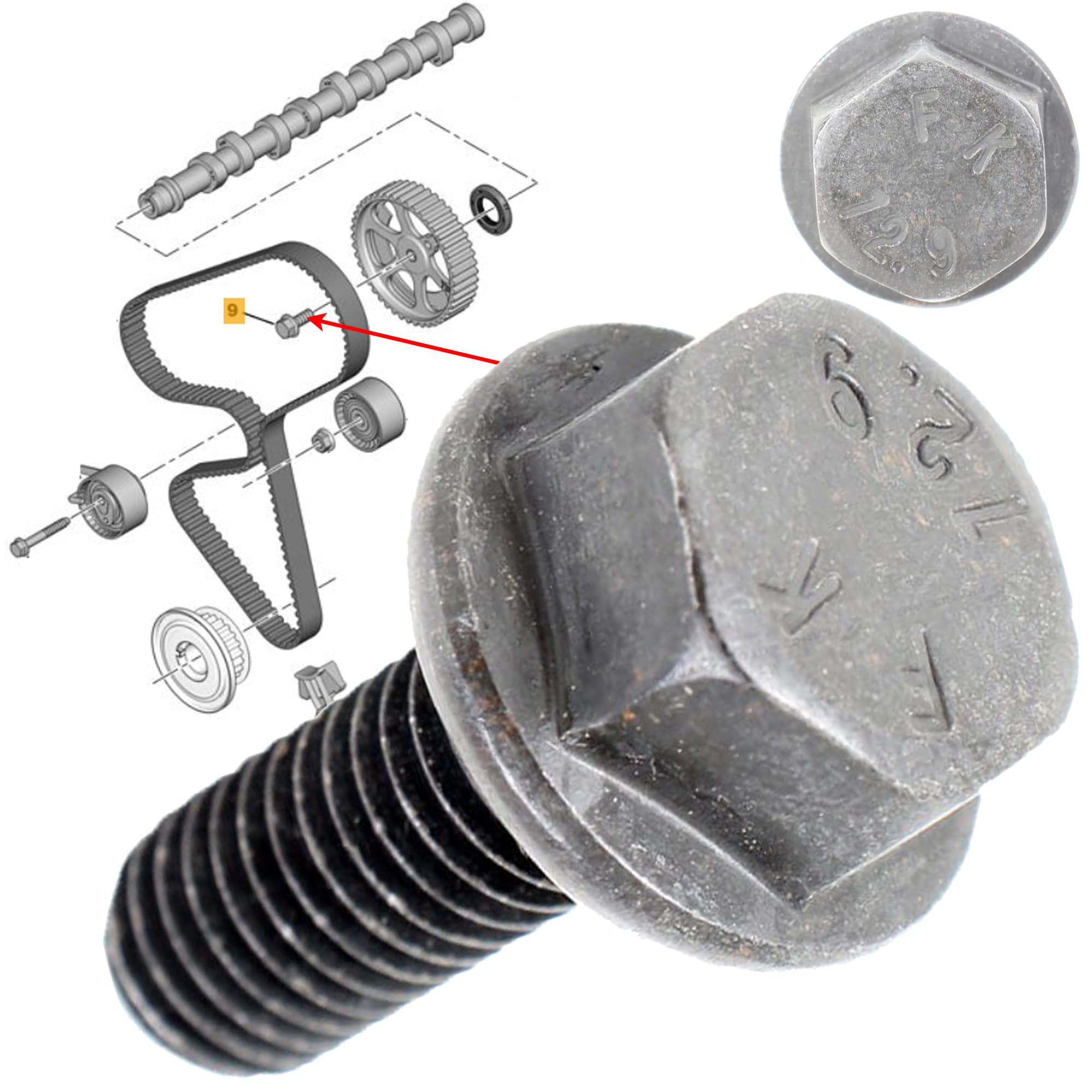 Partsline Kit d'arbre à cames avec chaine de 8 mm, poulie, vis de poulie et joints compatible avec les motorisations 1.5 HDI BlueHDi Ecoblue D-4D - 1638159880 9830580480 1682801980 9819923680