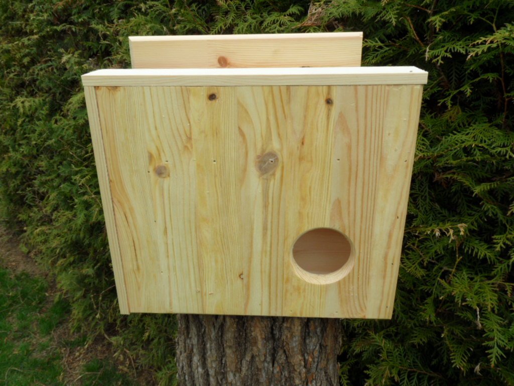XXXL Eichhörnchen Kobel/Futterhaus aus hochwertigem Vollholz, deutsches Qualitätsprodukt,von Hand gefertigt im Bayerischen Wald (Eichhörnchenkobel naturbelassen)