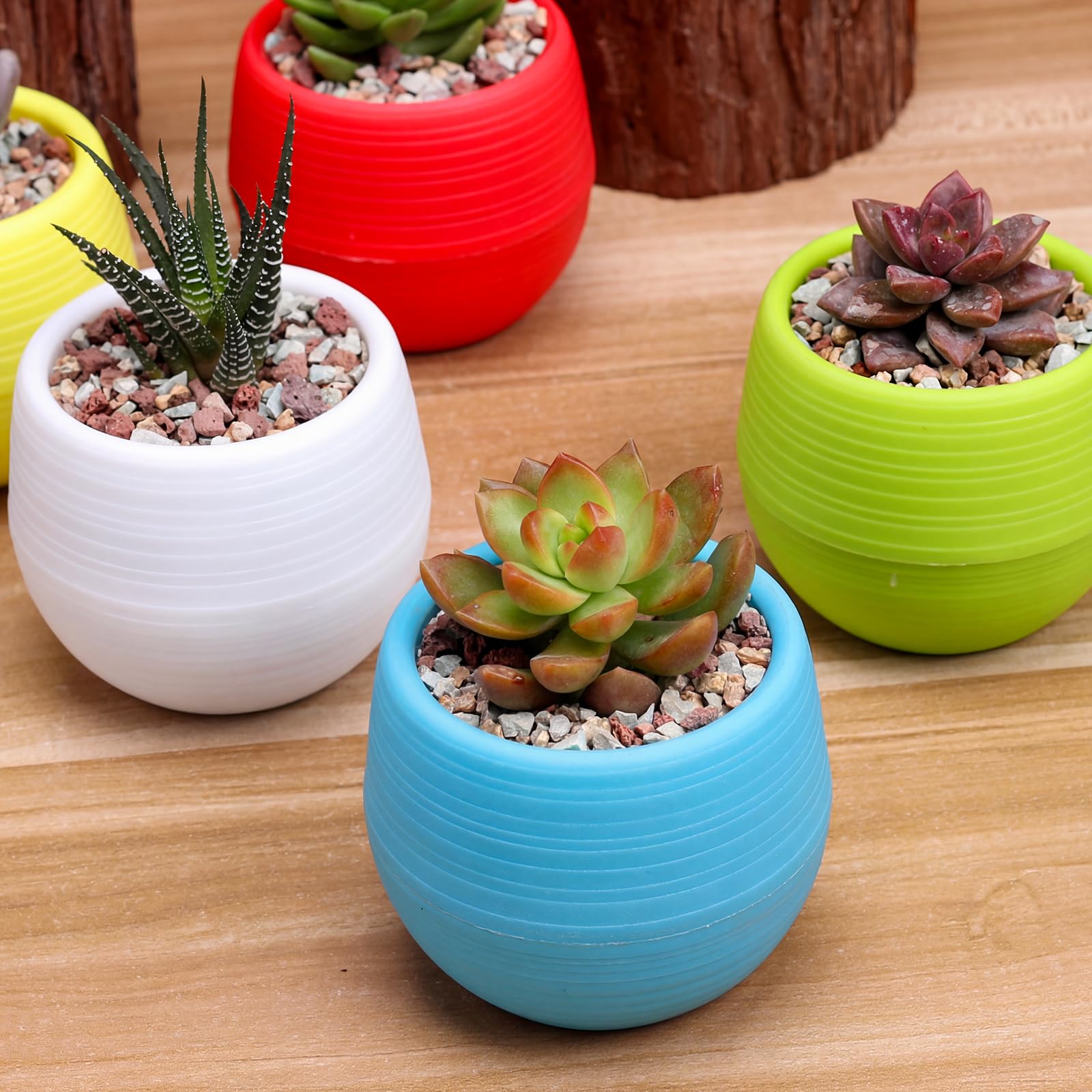 ★新品 Supreme Mini Planters (Set of 3) Supreme Mini Planters (Set of 3) 