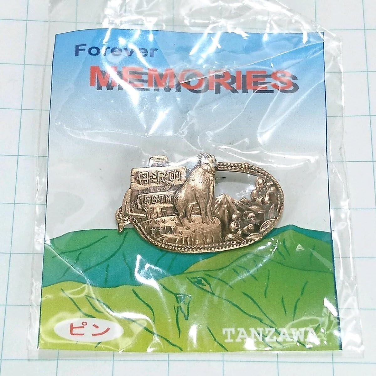 Amazon.co.jp: ) 丹沢山 山登り 旅行 記念 山バッジ ピンバッジ PINS