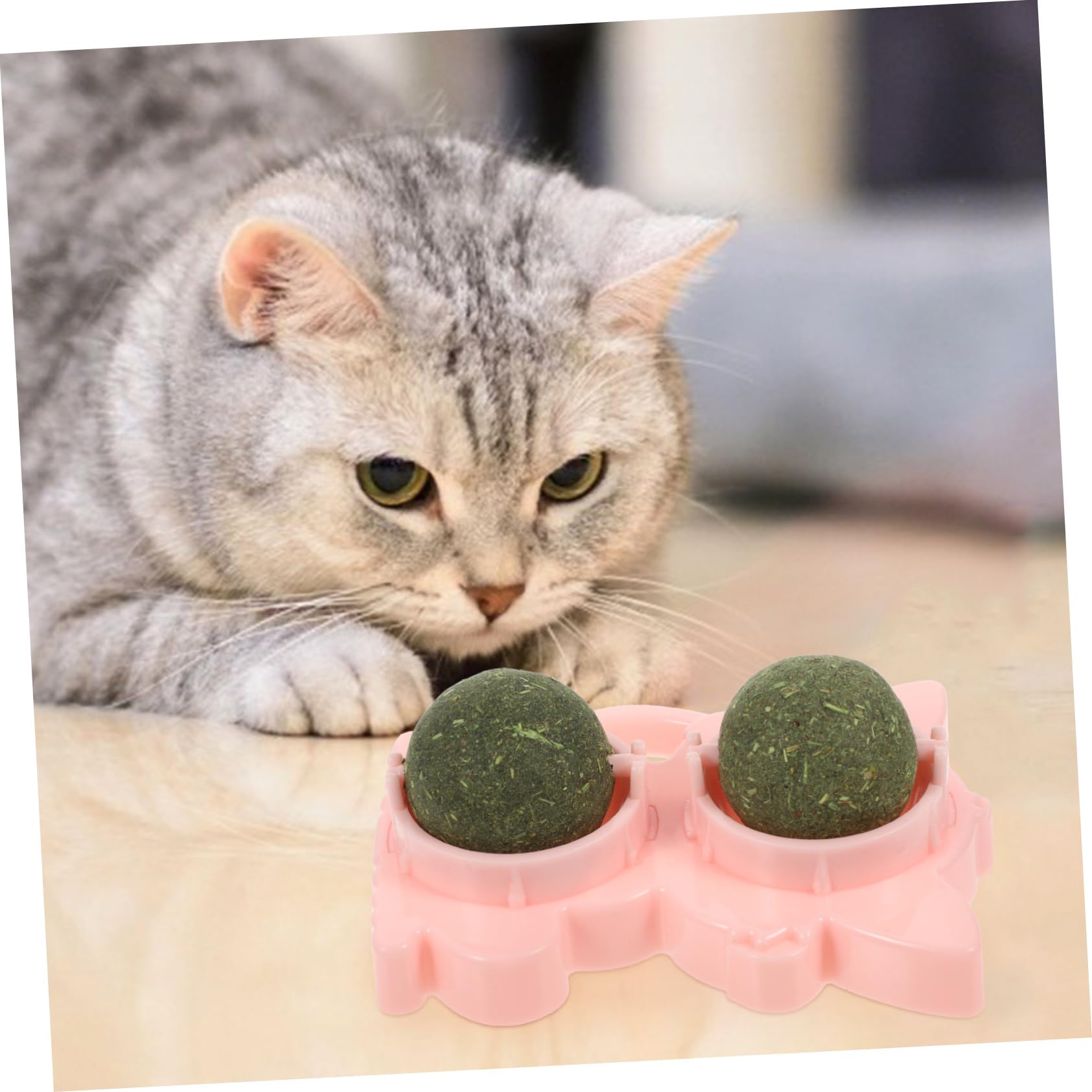 ABOOFAN 6 Pièces Jouet pour Chat Mini Boule Murale à l'herbe à Chat Bulles d'herbe à Chat Jouets pour Chats D'intérieur Ensemble De Jeu Intérieur Support Faire Tourner Mâcher Plastique