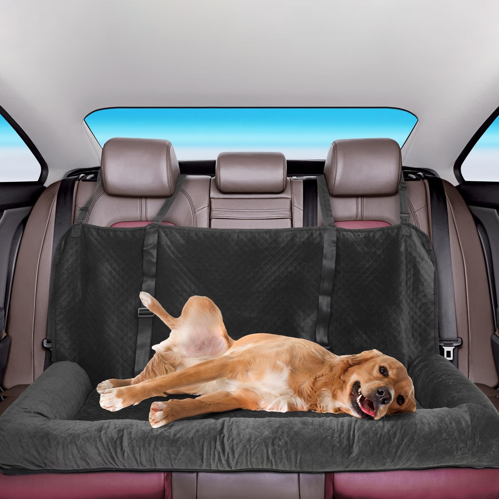 View 4