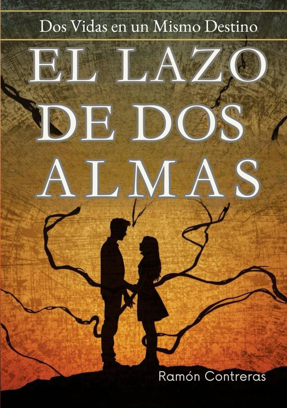 El Lazo de Dos Almas: Dos vidas en un mismo destino