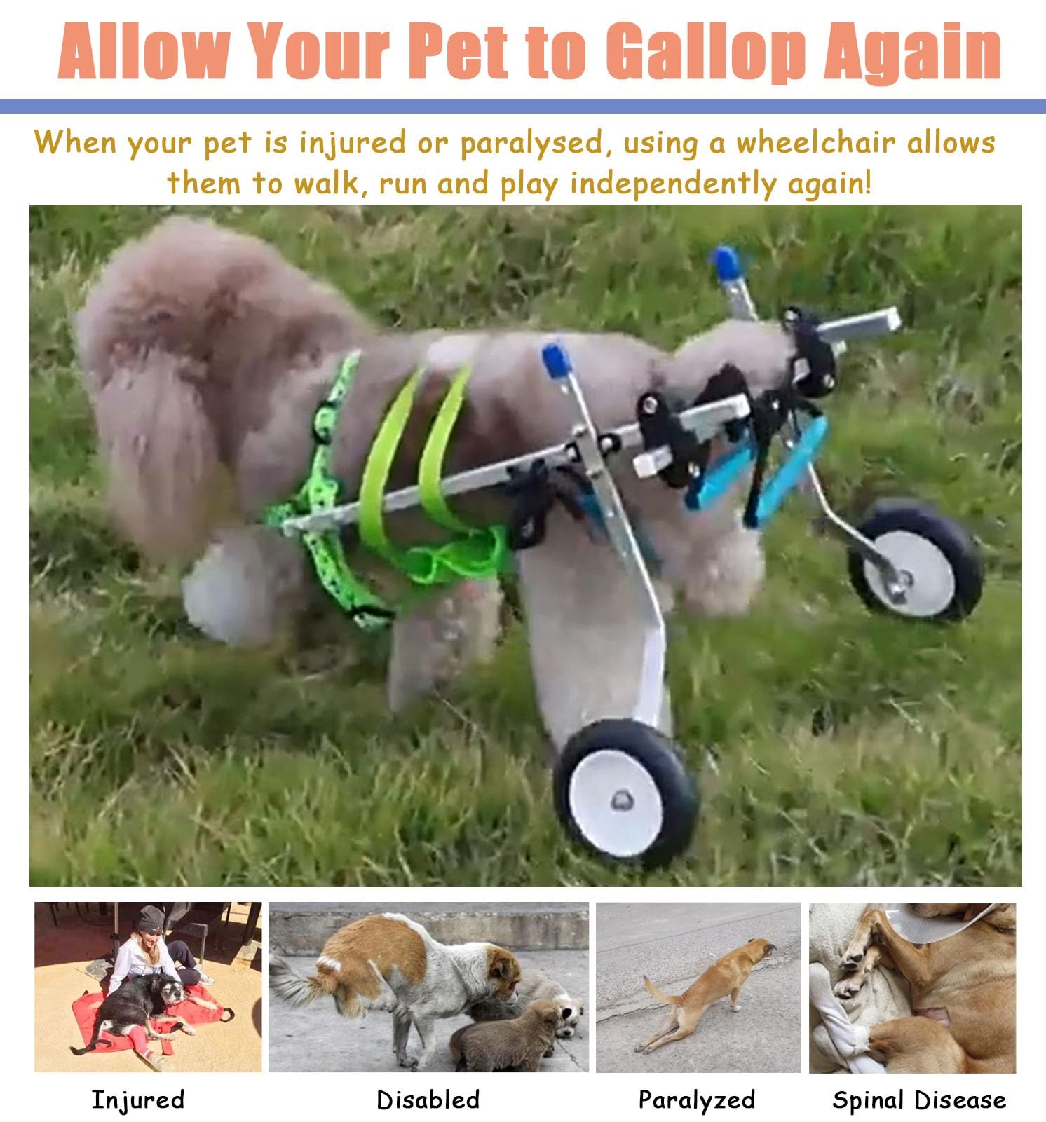 Carrello Cani Disabili Piccola Sedia a Rotelle per Gatti per Zampe Posteriori, Veicolo di Supporto per L'anca Paralizzata, Auto per Cani a 2 Ruote Regolabile con Zampe Posteriori Disabili Che Camminan