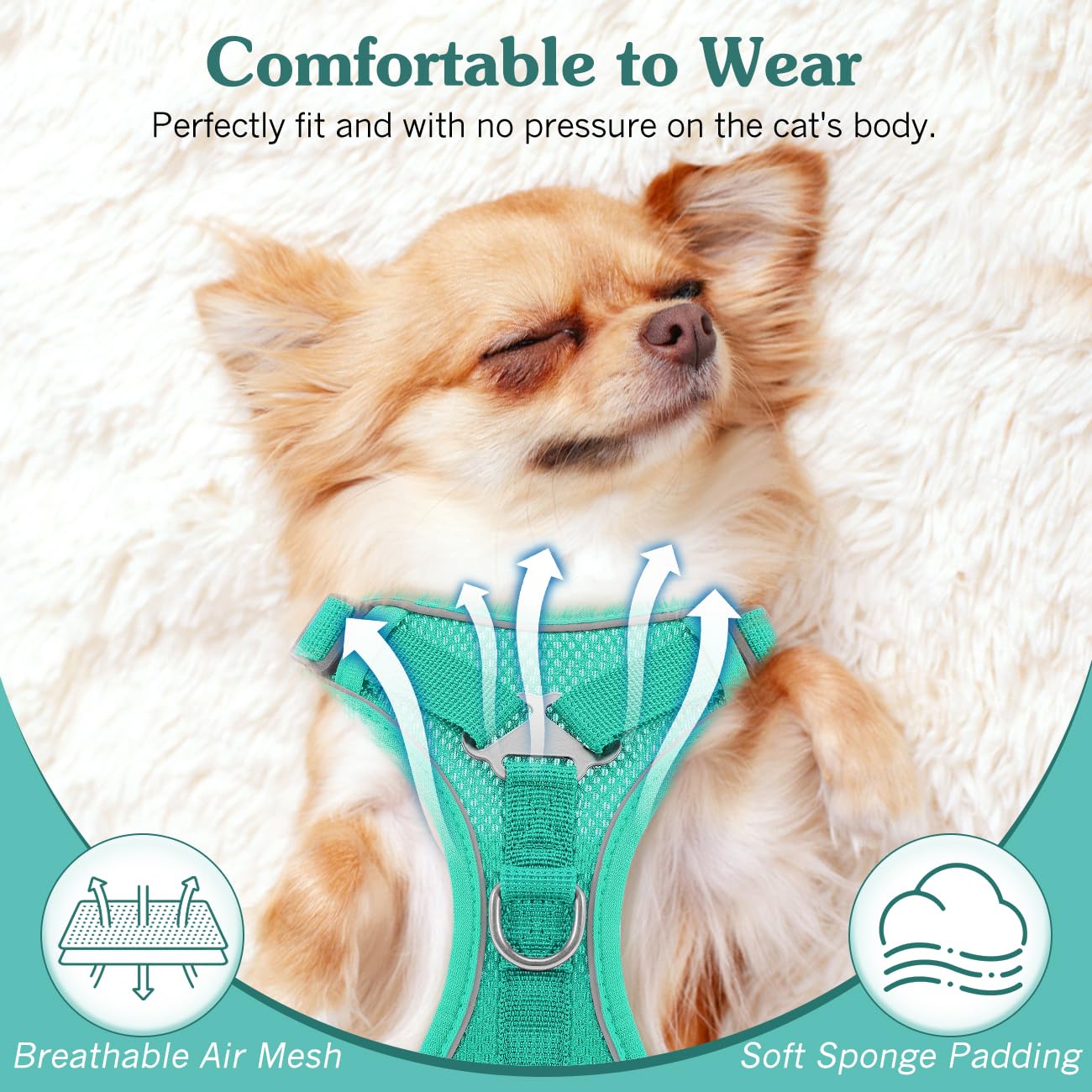 VavoPaw Pettorina per Cani con Guinzaglio da 1,5M, Imbracatura per Gatti Antifuga con Rete Traspirante e Strisce Riflettenti, Gilet Morbido e Regolabile per Cani Gatti, Lago Blu, L