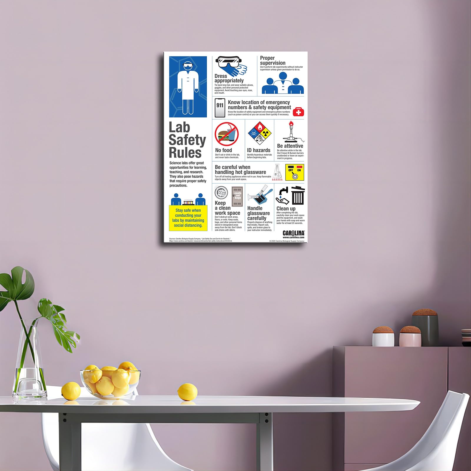 The Laboratory Poster Lab Science Safety Rules Classroom Posters Canvas Painting Posters And Prints Wall Art Pictures for Living Room Bedroom Decor (Unframed,08x12inch) - Image 4