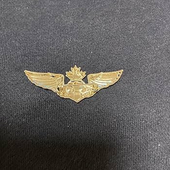⊞ドイツ軍＊ＤＬＶプロパガンダバッジ（実物） ⊞ドイツ軍＊DLVプロパガンダバッジ（実物） ⊞ドイツ軍＊DLV