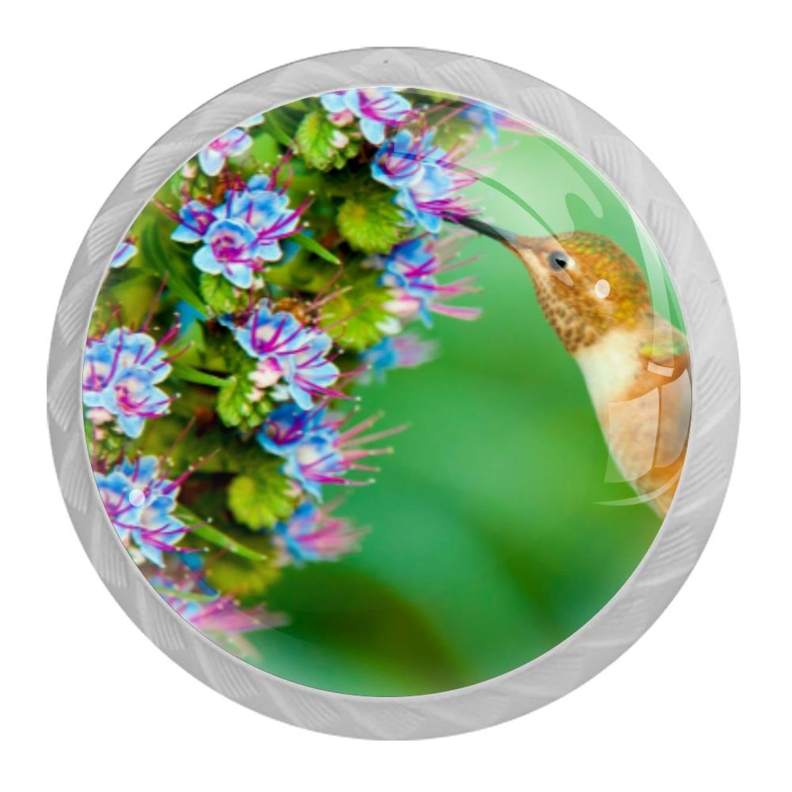 Tqmspg 4 Pieces Drawer Pulls Hummingbird with Blue Flowers Door Knobs Dresser Handles for Kitchen Wardrobe Cupboard Hardware Furniture