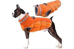 Lelepet Boxer Dog Winter Coat
