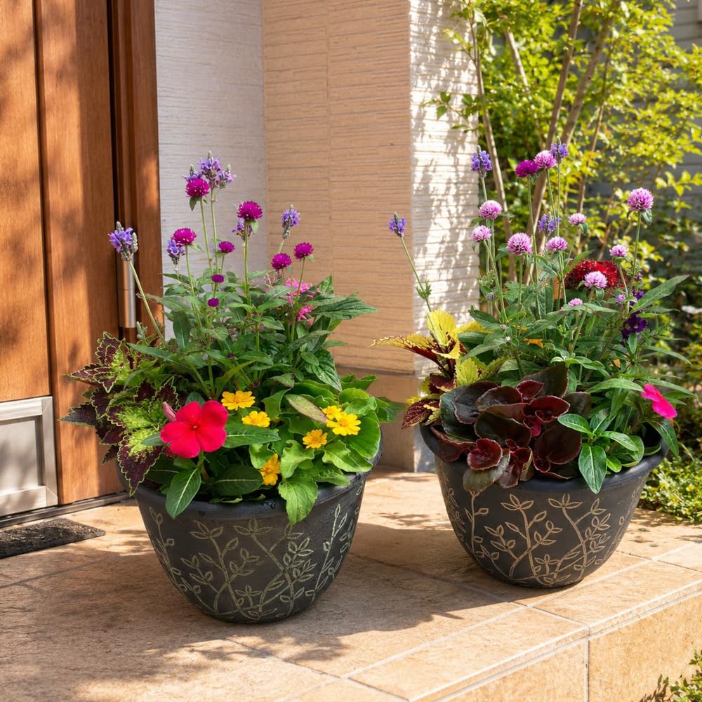 Amazon.co.jp: 花＊花Gluckはなはなぐりゅっけ 季節の寄せ植え リーフ