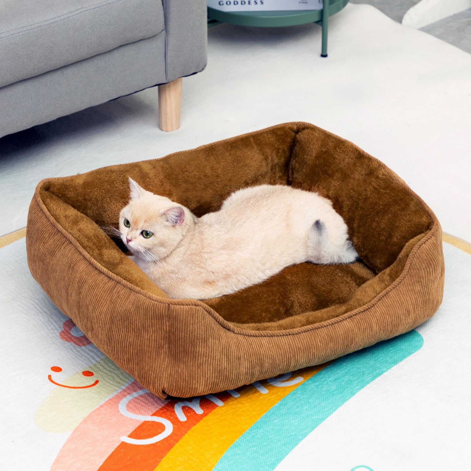 Hollypet Cat Bed Small Dog Bed Pet Bed for Cats and Puppy Soft Pet Sleeping Bed Breathable Pet Cushion, Brown(55 * 45 * 15cm) - Image 3