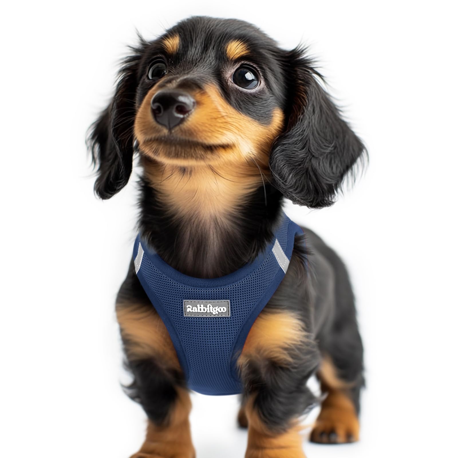 rabbitgoo Hundegeschirr kleine Hunde, Step-in Soft Mesh Hundegeschirr mit Sicherheitsverschluss, atmungsaktives und reflektierendes Welpengeschirr für kleine Hunde