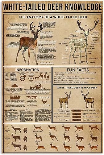 GJHGHJ Póster de metal con texto en inglés The Anatomy of a Whitetailed Deer Knowledge (La anatomía de un ciervo de cola blanca), póster para